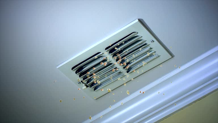 Best HVAC System Cleaning  in Kutztown, PA
